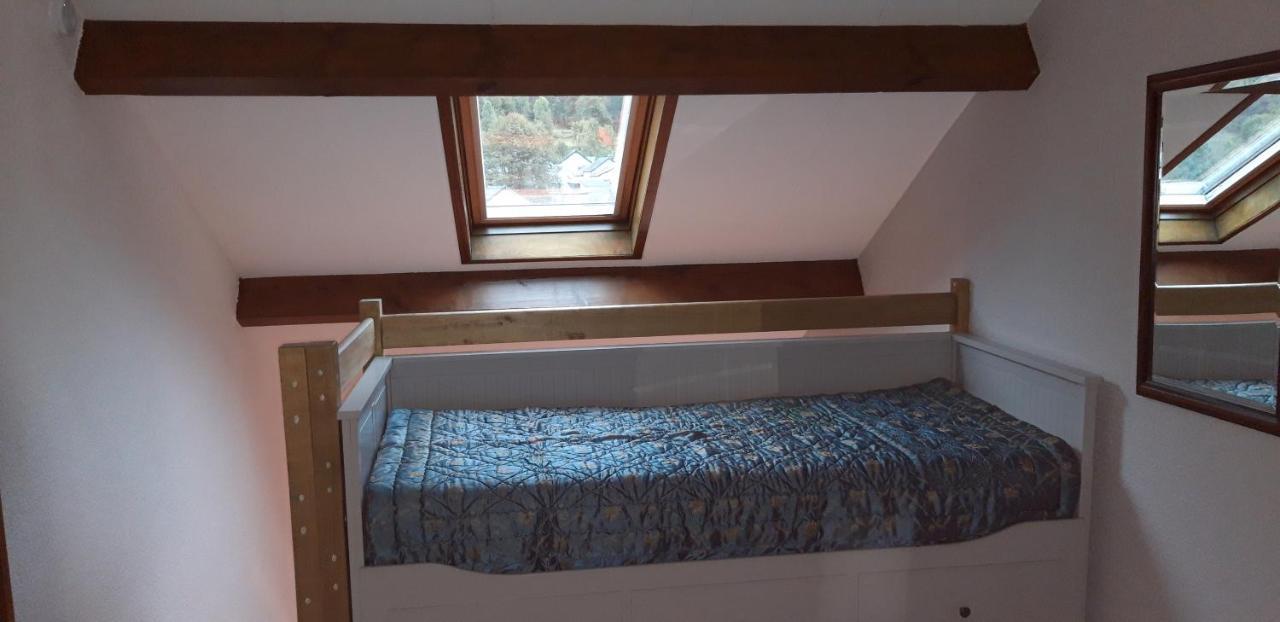 Ferienwohnung Montagne Ariegeoise Aulus-les-Bains Exterior foto